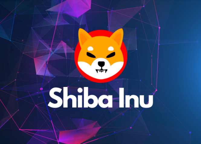 Rumores de que a queima de token Shiba Inu de 9,25 trilhões pode ser o catalisador para o Crescimento do Valor do Token.